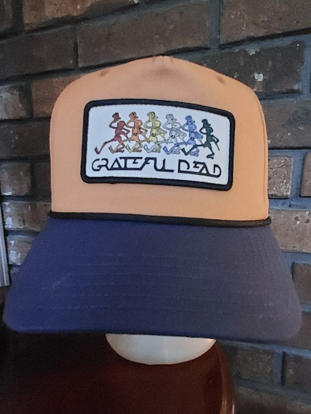 Grateful Dead Mad Engine Snapback Hat Cap Skeletons Tan Blue Trucker Band New